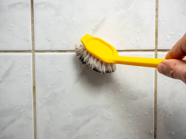 Best Best Mold Removal Companies  in Brambleton, VA