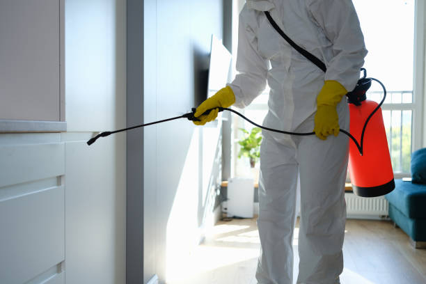 Best Toxic Mold Removal  in Brambleton, VA