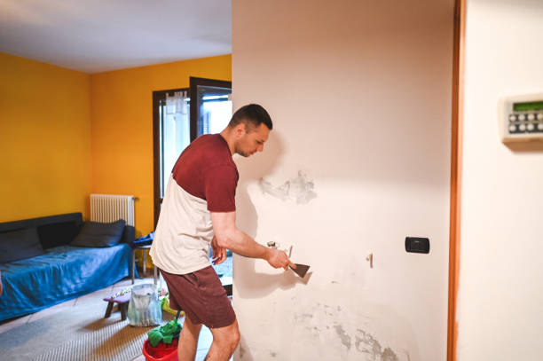 Best Mold Remediation  in Brambleton, VA